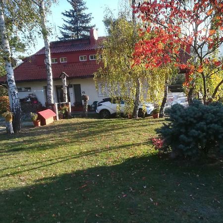 Villa Blanka Horní Podkozí Dış mekan fotoğraf