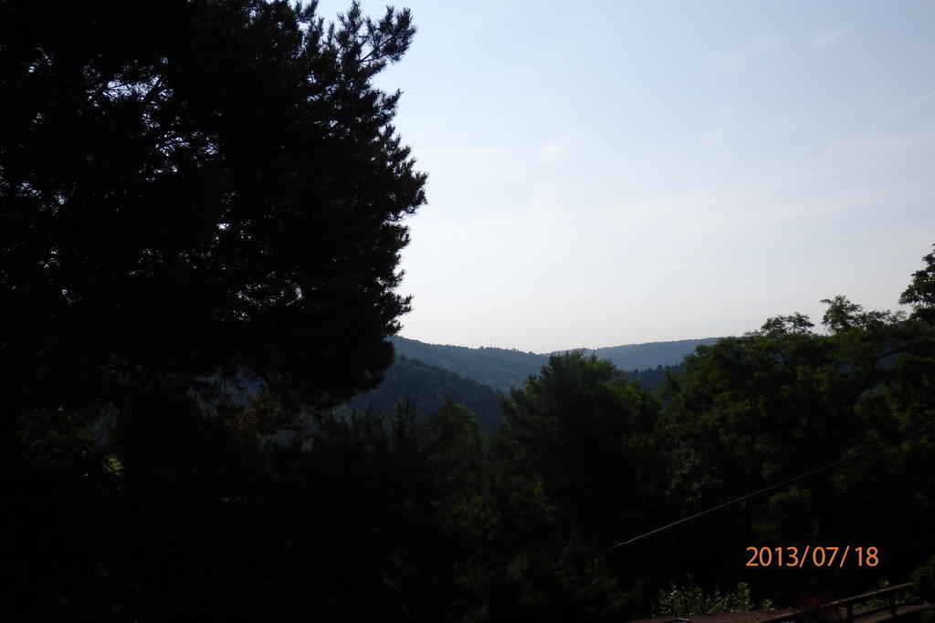 Villa Blanka Horní Podkozí Dış mekan fotoğraf