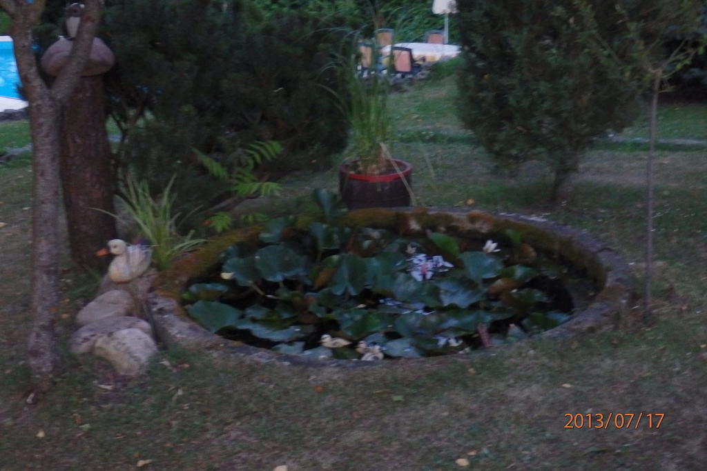 Villa Blanka Horní Podkozí Dış mekan fotoğraf