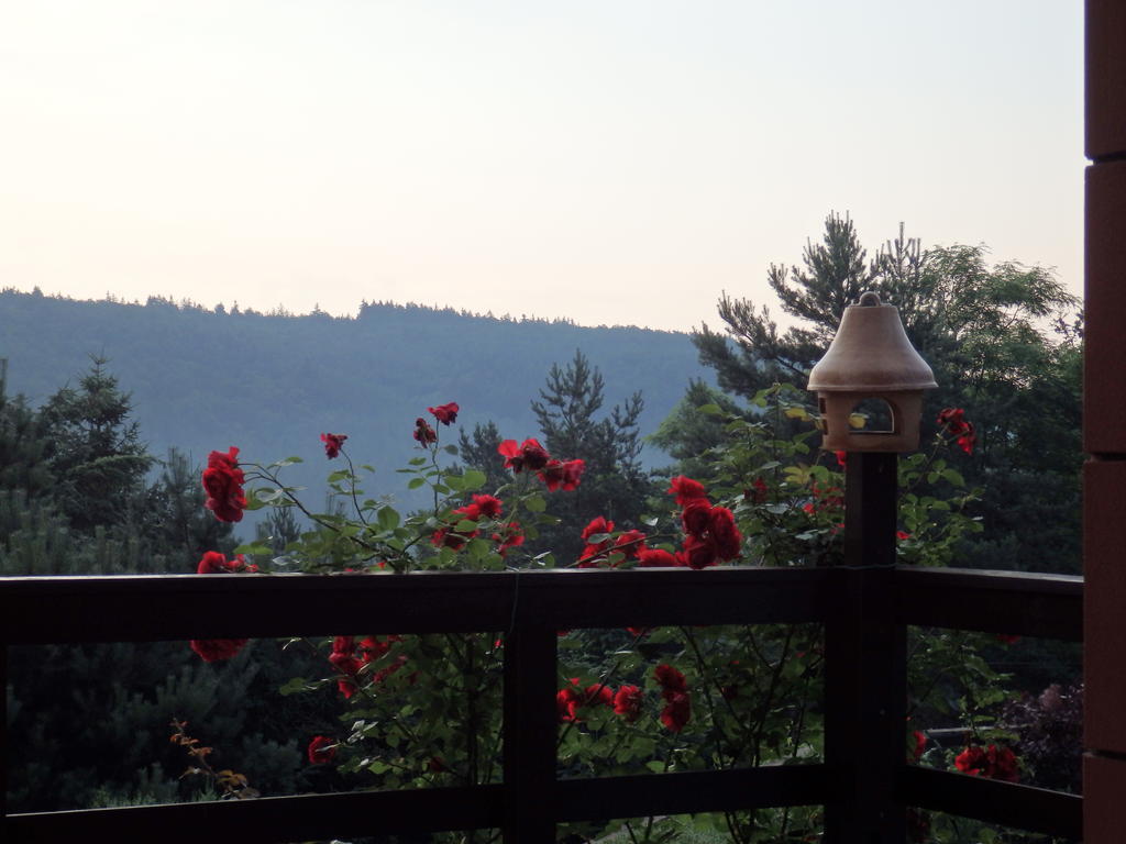 Villa Blanka Horní Podkozí Dış mekan fotoğraf