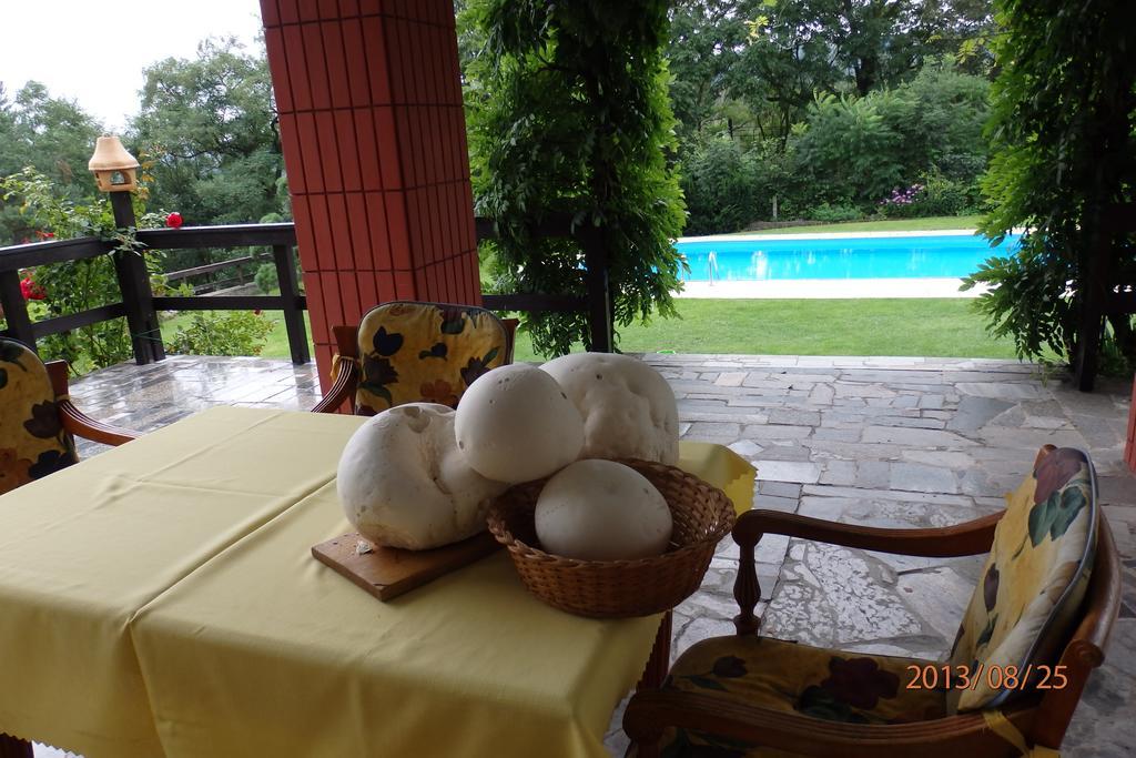Villa Blanka Horní Podkozí Dış mekan fotoğraf