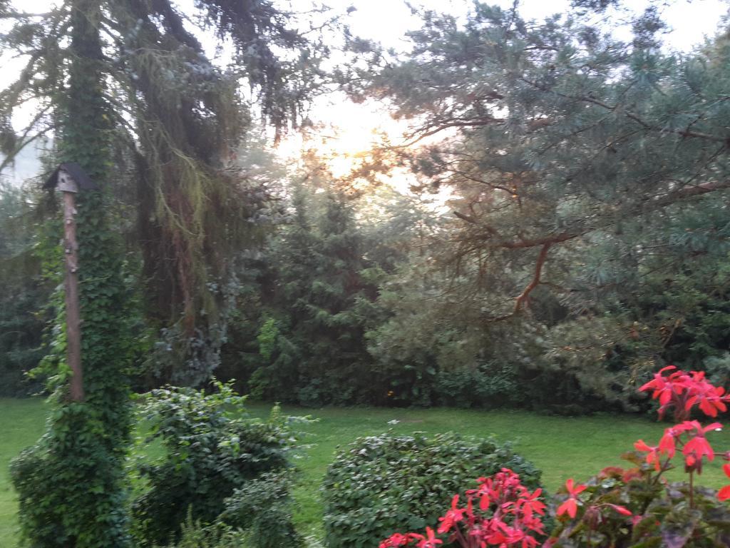 Villa Blanka Horní Podkozí Dış mekan fotoğraf