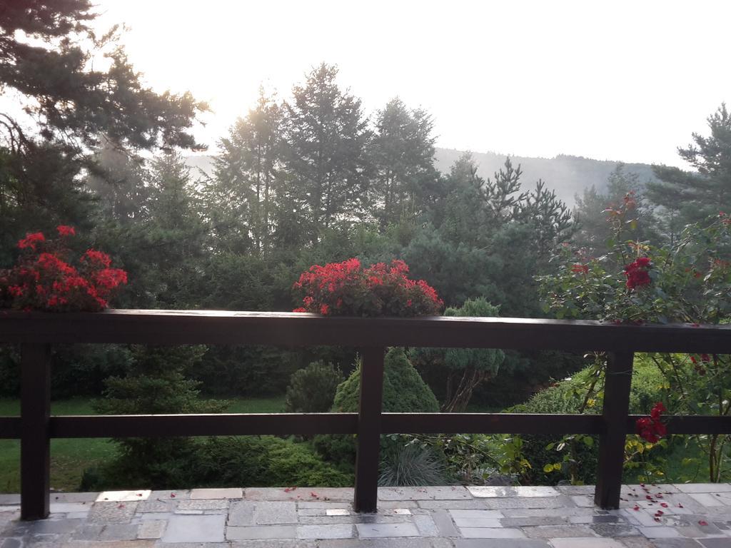 Villa Blanka Horní Podkozí Dış mekan fotoğraf
