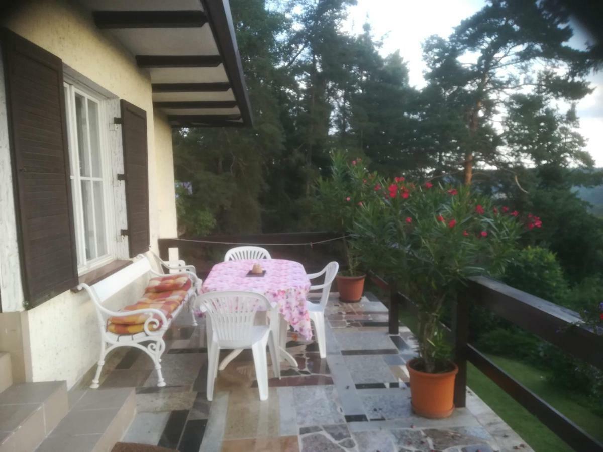 Villa Blanka Horní Podkozí Dış mekan fotoğraf